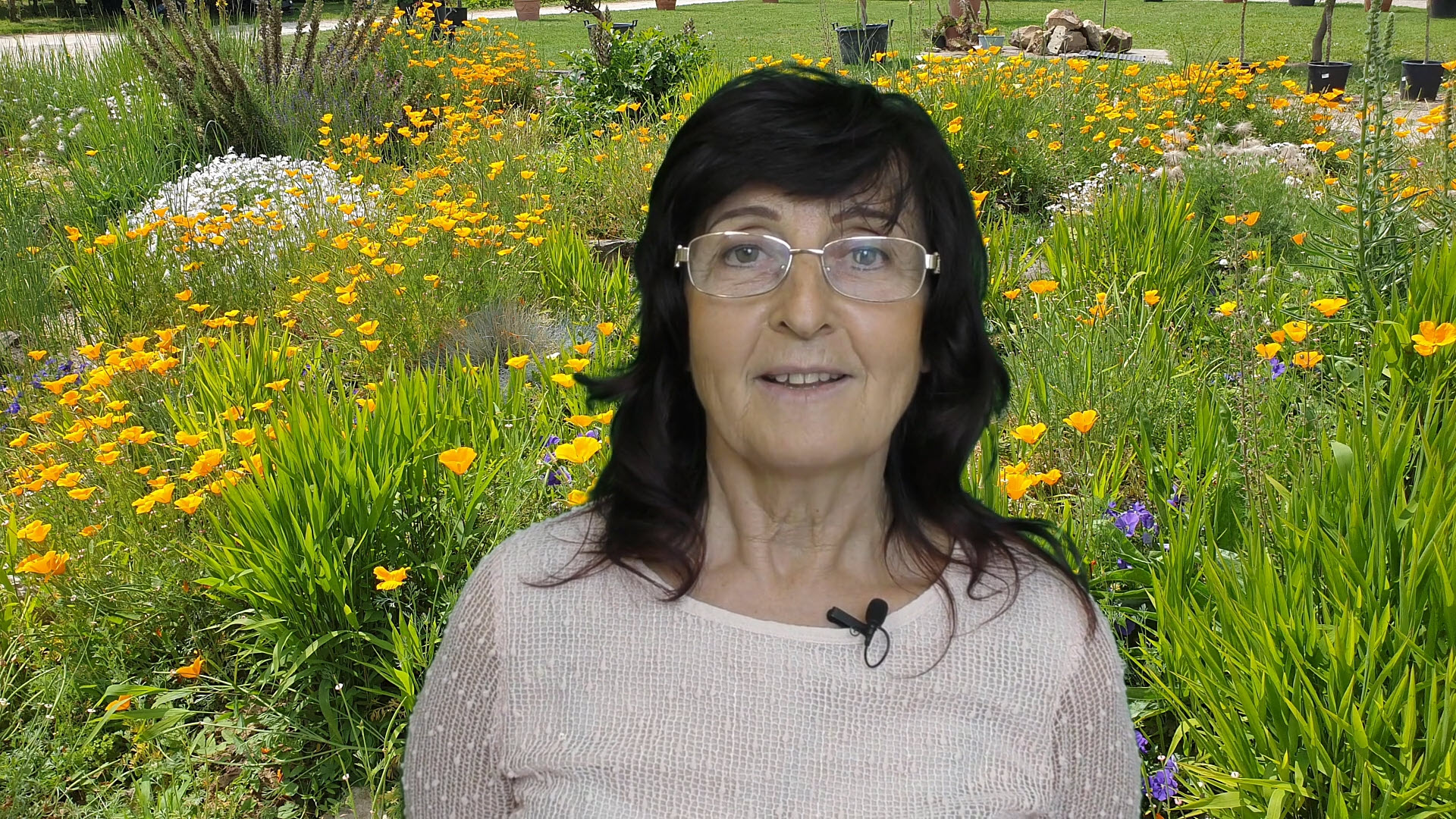 Dr. Illés Gabriella